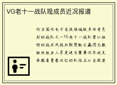 VG老十一战队现成员近况报道